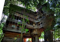Ein+Haus+am+Baum