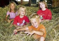Bauernhof+macht+Babys+gesund