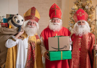 babyexpressnikolausaustrian-business-woman babyexpressnikolausaustrian-business-woman